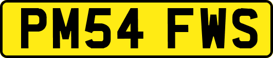 PM54FWS