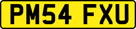PM54FXU