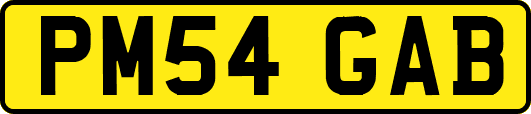 PM54GAB