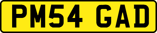 PM54GAD
