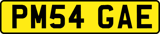PM54GAE