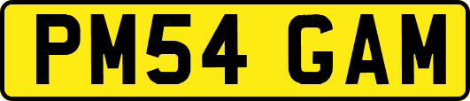 PM54GAM