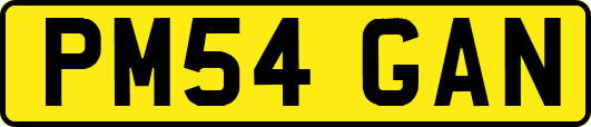 PM54GAN