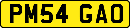 PM54GAO