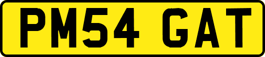 PM54GAT