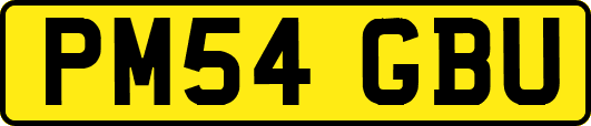 PM54GBU