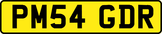 PM54GDR
