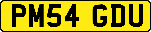 PM54GDU