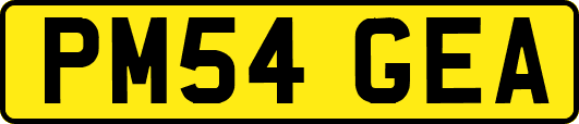 PM54GEA