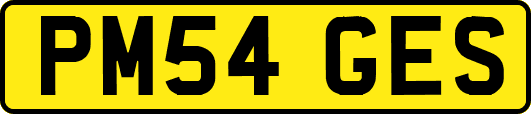 PM54GES