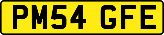PM54GFE