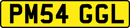 PM54GGL