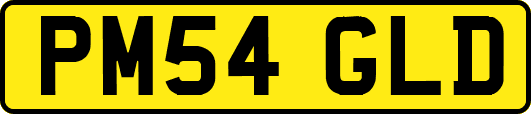 PM54GLD