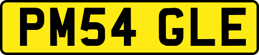 PM54GLE