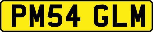 PM54GLM