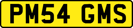 PM54GMS
