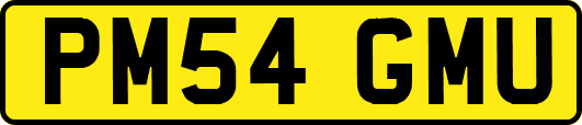 PM54GMU