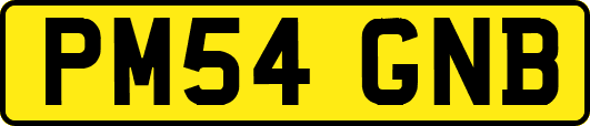 PM54GNB