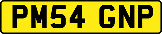PM54GNP