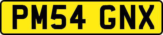 PM54GNX