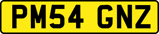 PM54GNZ