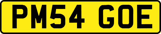 PM54GOE