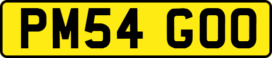 PM54GOO