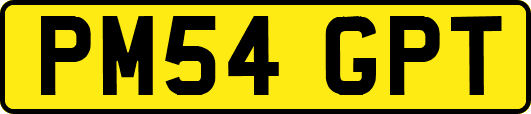 PM54GPT