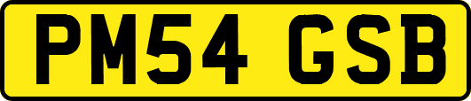 PM54GSB