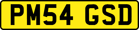 PM54GSD