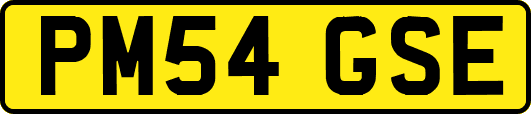 PM54GSE
