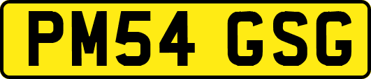 PM54GSG
