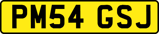 PM54GSJ