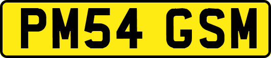 PM54GSM