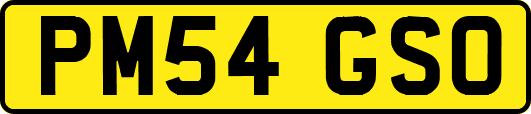 PM54GSO