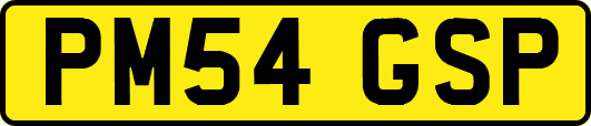PM54GSP