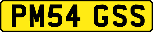 PM54GSS