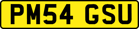 PM54GSU