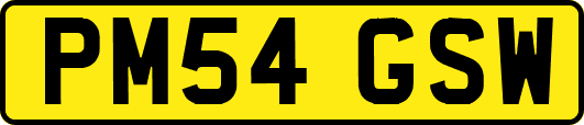 PM54GSW