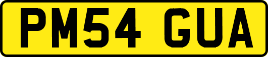 PM54GUA