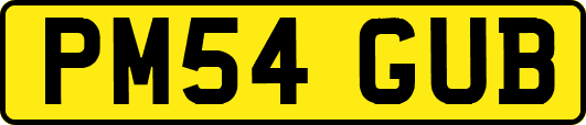 PM54GUB