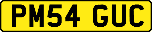PM54GUC