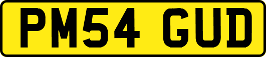 PM54GUD