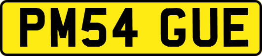 PM54GUE