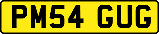 PM54GUG