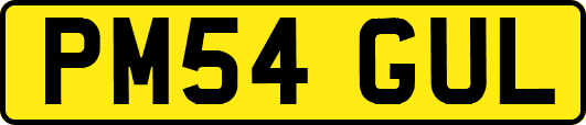 PM54GUL