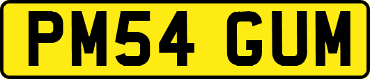 PM54GUM