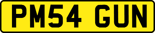 PM54GUN