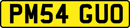 PM54GUO