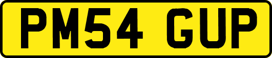 PM54GUP